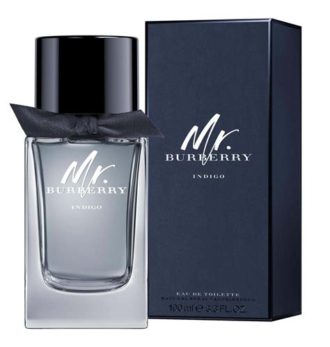 profumo burberry mr|burberry cologne for men.